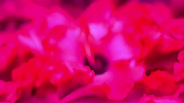 A heap of crimson hibiscus petals, freshly picked and carefully dried, believed to be a powerful ingredient in the elixir of love.