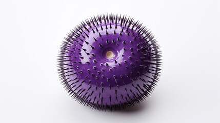 purple sea urchin on white background. Purple sea urchin, Paracentrotus lividus. AI Generative