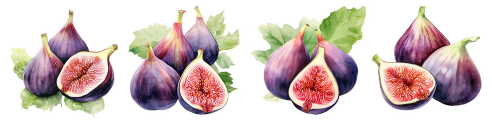 Watercolor fig png images collection