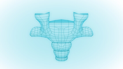 Human Skeleton Coccyx or tail bones wireframe 3D illustration