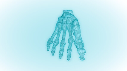 Human hand bones wireframe 3D illustration