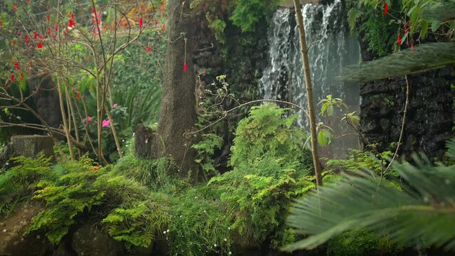Footage filmed in Madeira Portugal at Monte Palace tropical garden. Filmed at nice daylight with incredible landscapes, jungle, water, forest, tropical palnts, and nature all around. Filmed in 4k