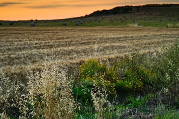 Tramonto a  Mari Ermi.Sinis, Provincia di Oristano, Sardegna, Italy