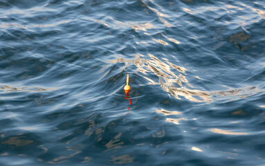 ウキ © 武 今道