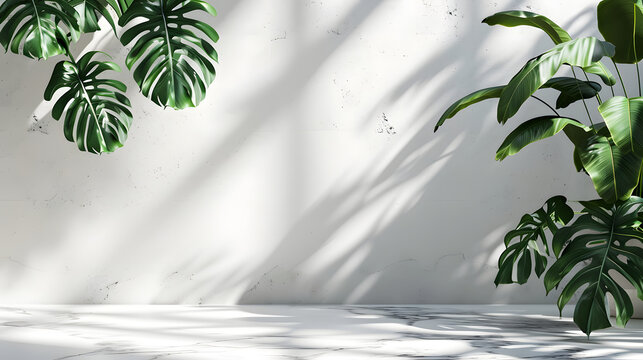 Sunlight reflection from leaves plants over the white wall. Minimal abstract background, overlay, plant shades. copy space. mockup.