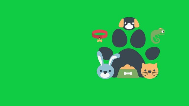 4K Animated Infographic Footage visualizing Pet Care, Pets Paw, Cat, Dog Collar, Bunny, Dog, Lizard, Dog Food, green screen chroma key background