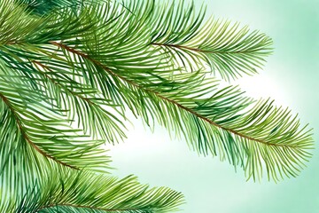 Fototapeta na wymiar watercolor isolated picture of a pine branch. green Christmas tree from a natural forest. Hand-drawn flora with needles and branches. festive décor including fir branches. decorations for the holiday 