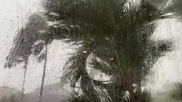 4k video footage of storm and heavy rain seen from behind a glass window of a building. Rain, lightning and strong winds shake the trees in the park. Bad weather, tropical cyclones and typhoons.