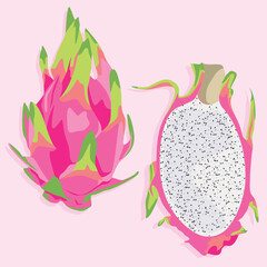 Dragon fruit whole and cut in half. Vector fruit icons. Isolated image.