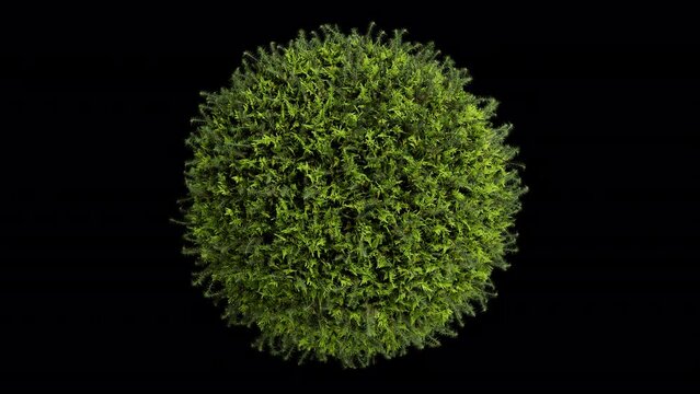 3D Animation loop of green grass on the sphere ball rotation includes alpha matte.