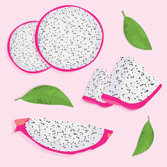Dragon fruit slices with pulp and seeds. Pitaya. Realistic vector image of tropical fruits.