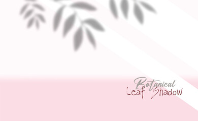 Botanic Leaf Shadow Background