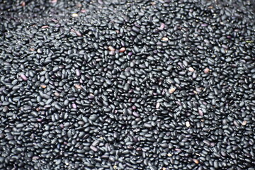 oro negro