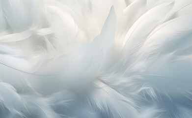 Serene and spiritual illustration with a close-up view of white feathers against a soft background.