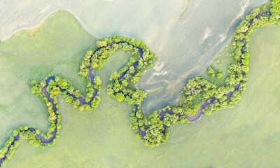 Aerial view of river meander in the lush green vegetation of the delta. Univerzal place
