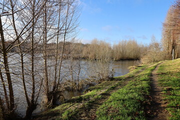 Les rives du fleuve Loire, bords de Loire, ville de Amboise, département de l'Indre et Loire, France