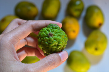 Close up of kaffir lime 