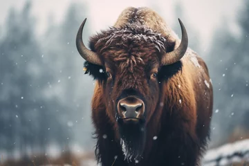 Zelfklevend Fotobehang bull standing in the snow weather bokeh style background © toonsteb