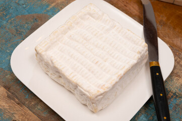 French squared pont l'eveque cow cheese from Calvados department, close up, Pont l'eveque village, Normandy, France