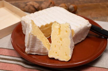 French squared pont l'eveque cow cheese from Calvados department, close up, Pont l'eveque village, Normandy, France