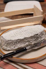 Fototapeta na wymiar Cheese collection, French fresh soft goat cheese with black mold from Perigord