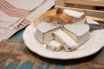 Cheese collection, French fresh soft goat cheese with black mold from Perigord