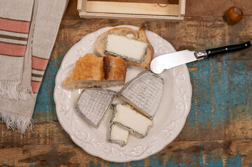 Cheese collection, French fresh soft goat cheese with black mold from Perigord