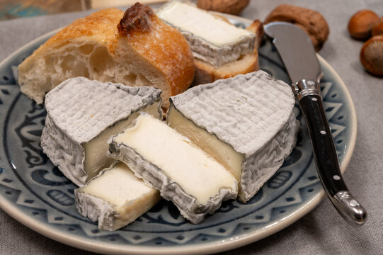 Cheese collection, French fresh soft goat cheese with black mold from Perigord