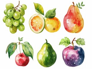 Set of watercolor fruits. Pears, pears, plums, apples, grapes. illustration Generative AI
