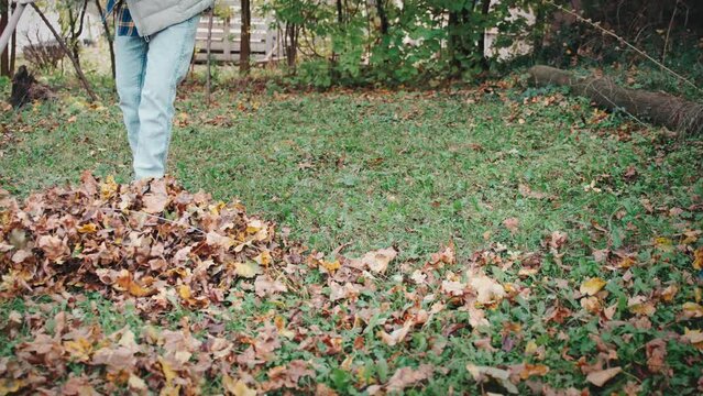 Close-up shot of a person raking up fallen leaves in the backyard of a country house on a warm autumn day