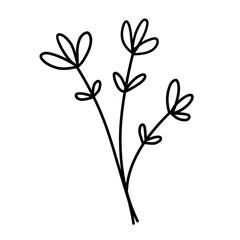Plant line art. Botanical leaves.