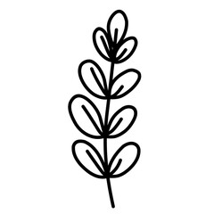 Plant line art. Botanical leaves.