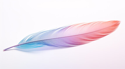 Close up of a single brightly colored feather isolated on a single color background 