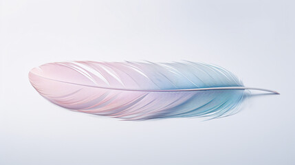 Close up of a single brightly colored feather isolated on a single color background 