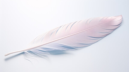 Close up of a single pastel colored feather isolated on a single color background 