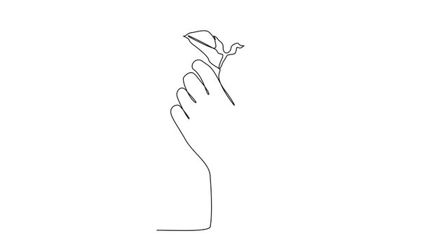 Animated self drawing of a hand is holding a beautiful flower. A rose in simple linear style vector illustration. design with Minimalist black linear design isolated concept plant vector.