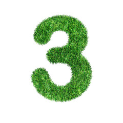Grass letter NUMBER 3 isolated on transparent background