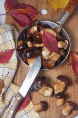 Several Imleria Badia or Boletus badius mushrooms commonly known as the bay bolete, vintage knife and pan with mushrooms on wooden cutting board..