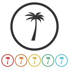  Palm tree icon. Set icons in color circle buttons
