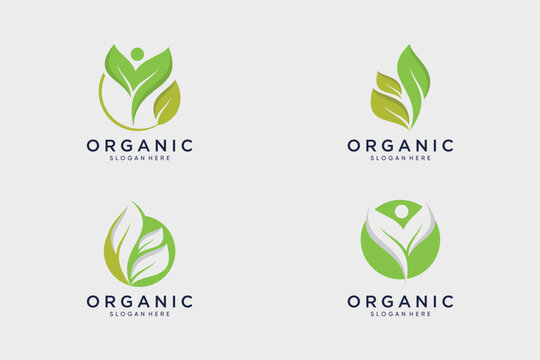 Natural organic logo collection leaf design vector with creative idea