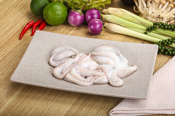 Delicous fresh raw uncooked octopus