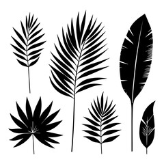 minimal tropical leave vector silhouette, black color silhouette, white background