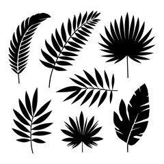 minimal tropical leave vector silhouette, black color silhouette, white background - obrazy, fototapety, plakaty
