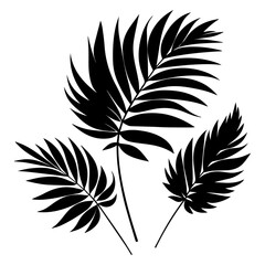 minimal tropical leave vector silhouette, black color silhouette, white background