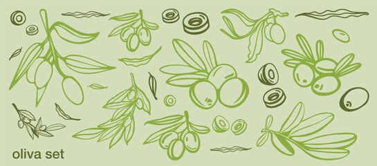 Green olive sketch element collection, olive branches isolated on a green background, leaves, olives, vector hand drawn set.	