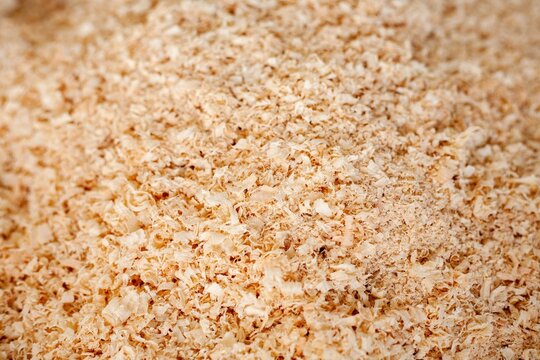 ści&oacute;łka, trociny, tartak, kup trociny