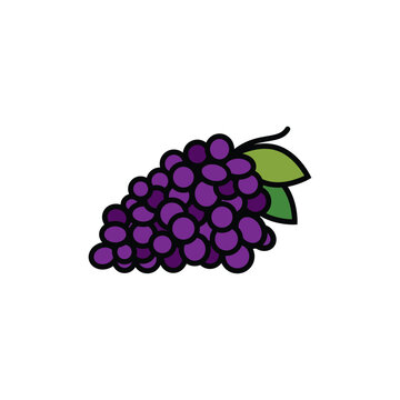 Original vector illustration. Contour icon of ripe grapes.