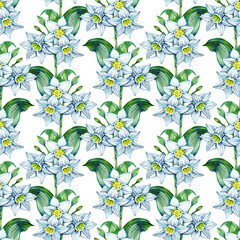 Daffodil Eucharis blossom seamless pattern. Hand drawn narcissus flowers. Soft floral for natural or romantic design, fabric, wrapping, paper dishes prints.