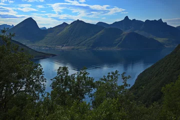 Photo sur Plexiglas Europe du nord Landscape on the Scenic Route Senja in Troms county, Norway, Europe 