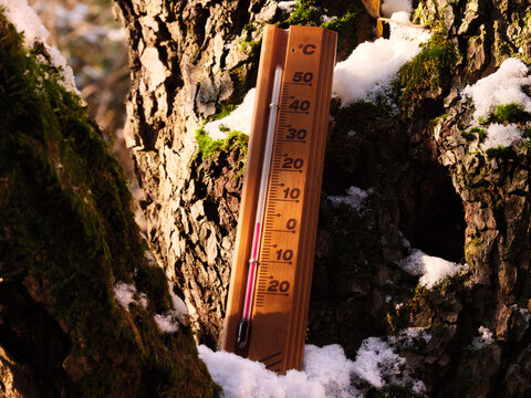 A meteorology thermometer show 0 degrees Celsius low cold temperature. December Christmas celebration and cool snowy winter weather season, placed on the white snow on the brown trunk of a tree.